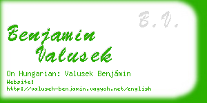 benjamin valusek business card